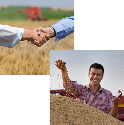 Almer Centros de Distribución