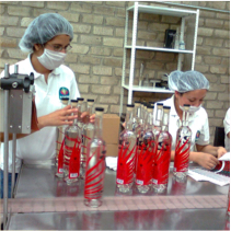 Marbeteo de vinos y licores