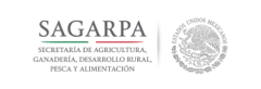 Logotipo de Sagarpa