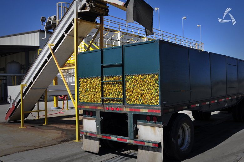 Foro Global Agroalimentario: La oportunidad para crear múltiples operaciones comerciales.